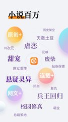 爱游戏app赞助的罗马